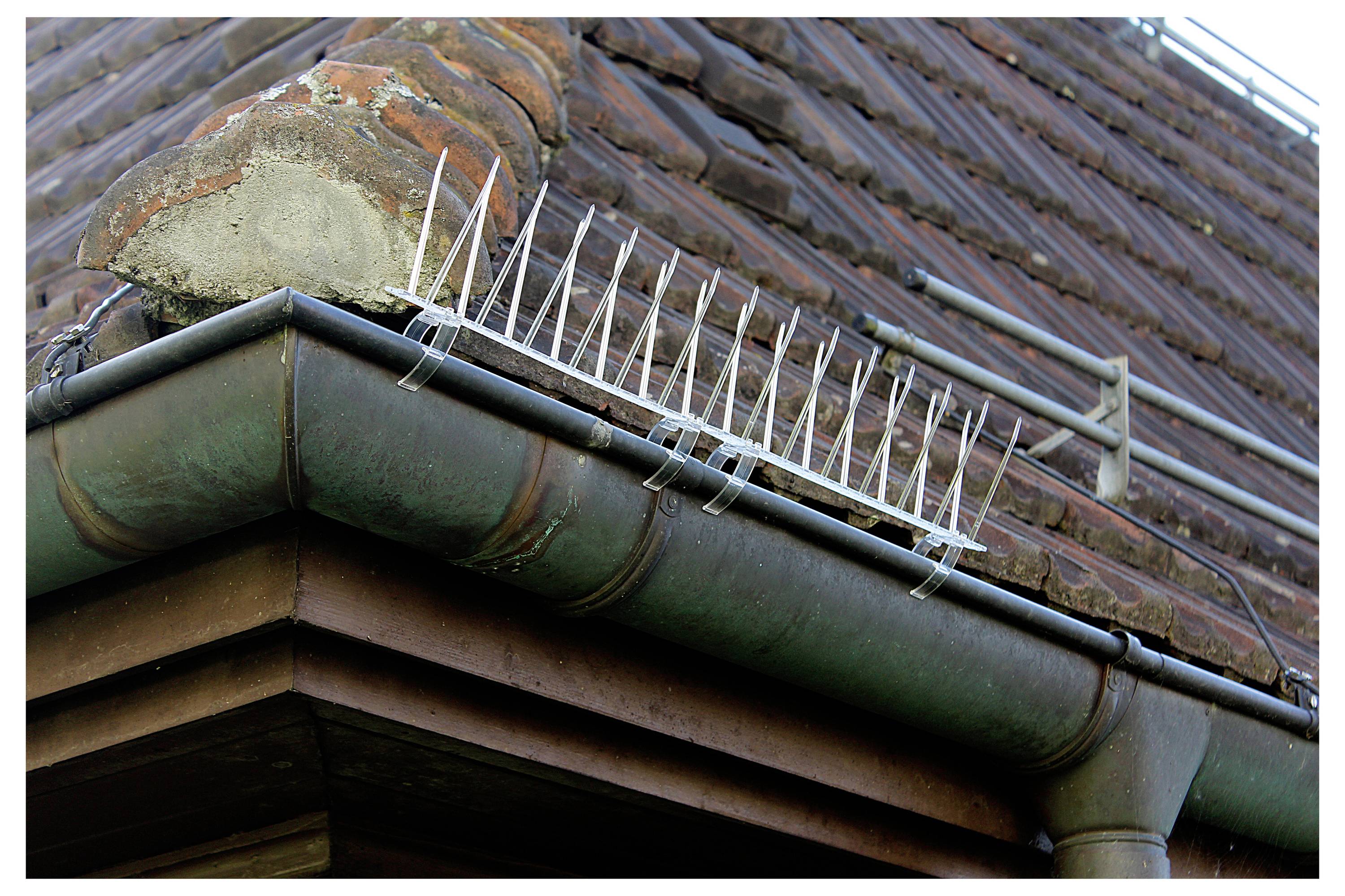 Swissinno 1 238 001K Spike-Clips Befestigungsclips Passend für Marke (Tiervertreiber) Swissinno Taubenabwehr-Spikes 6St.