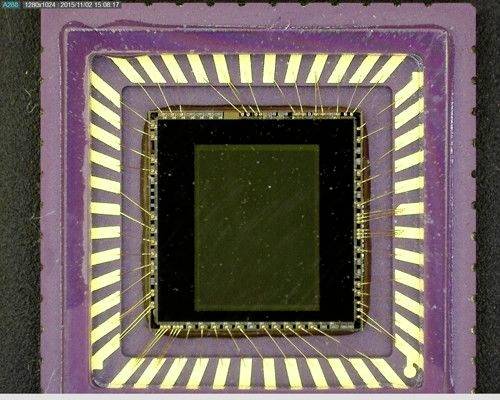 Dino Lite USB Mikroskop 1.3 Megapixel Digitale Vergrößerung (max.): 200 x