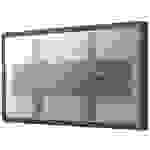 Neomounts PLASMA-W200 TV-Wandhalterung 94,0cm (37") - 215,9cm (85") Neigbar