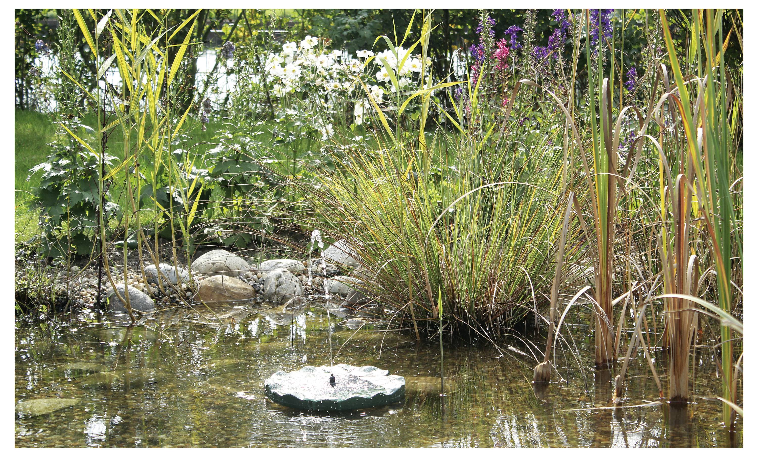 Ein kleiner Teich mit einem sprudelnden Springbrunnen, umgeben von Steinen und verschiedenen grünen und blühenden Pflanzen an einem sonnigen Tag.