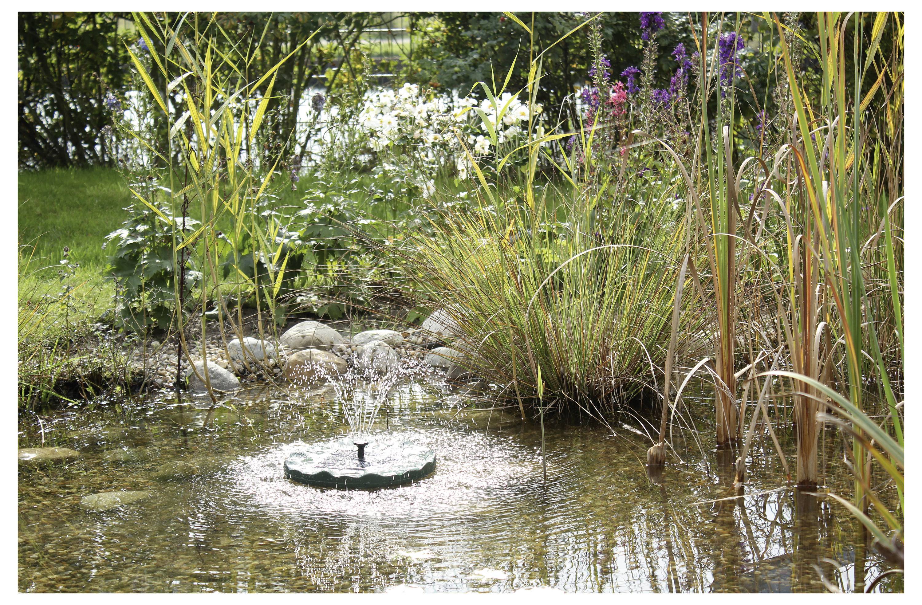 Ein kleiner Gartentümpel mit einem zentralen Wasserspiel ist von hohem Gras, bunten Blumen und üppigem Grün im Hintergrund umgeben.