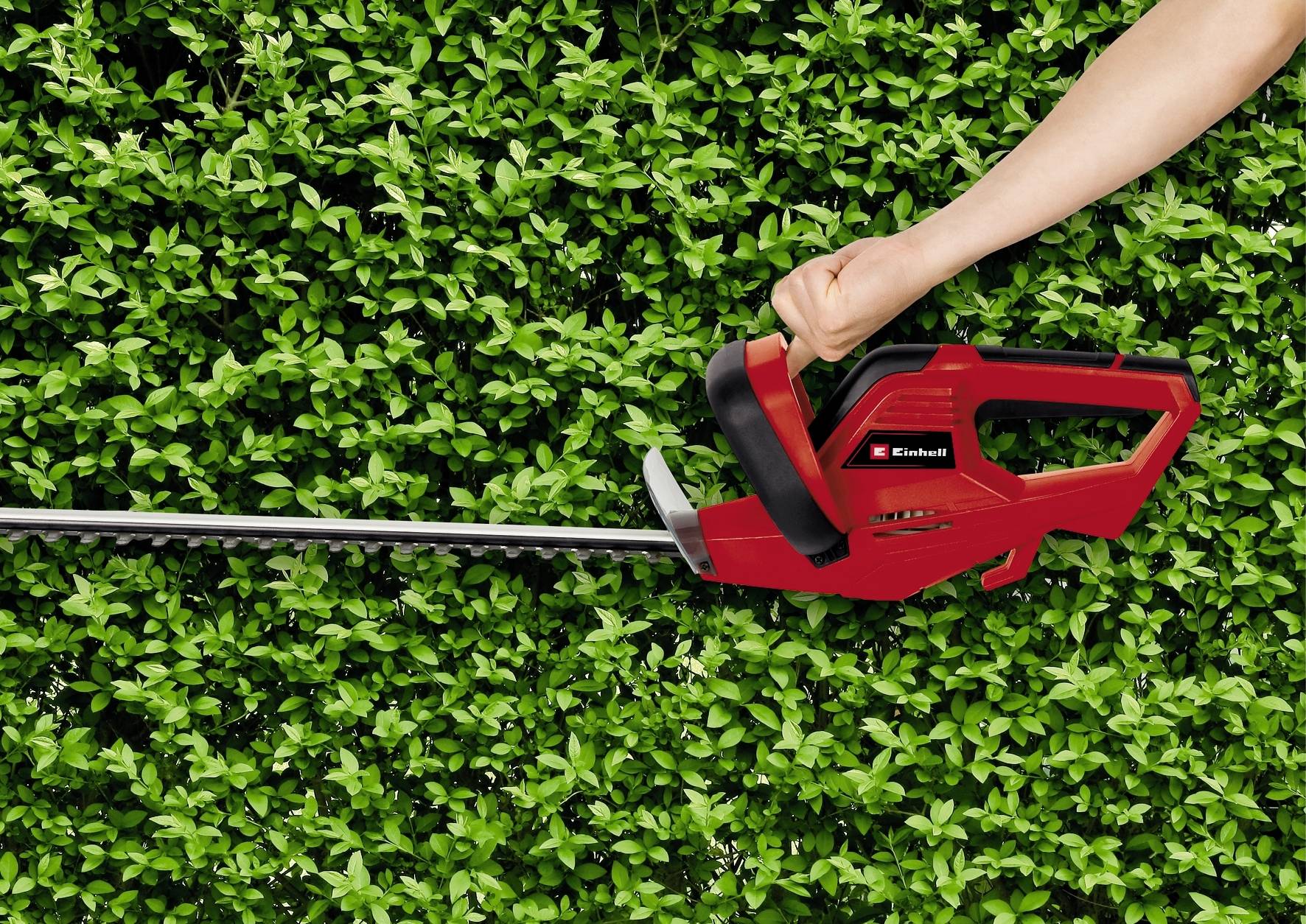 Eine Person schneidet mit einer roten Heckenschere eine grüne Hecke. Die Heckenschere wird mit einer Hand gehalten.