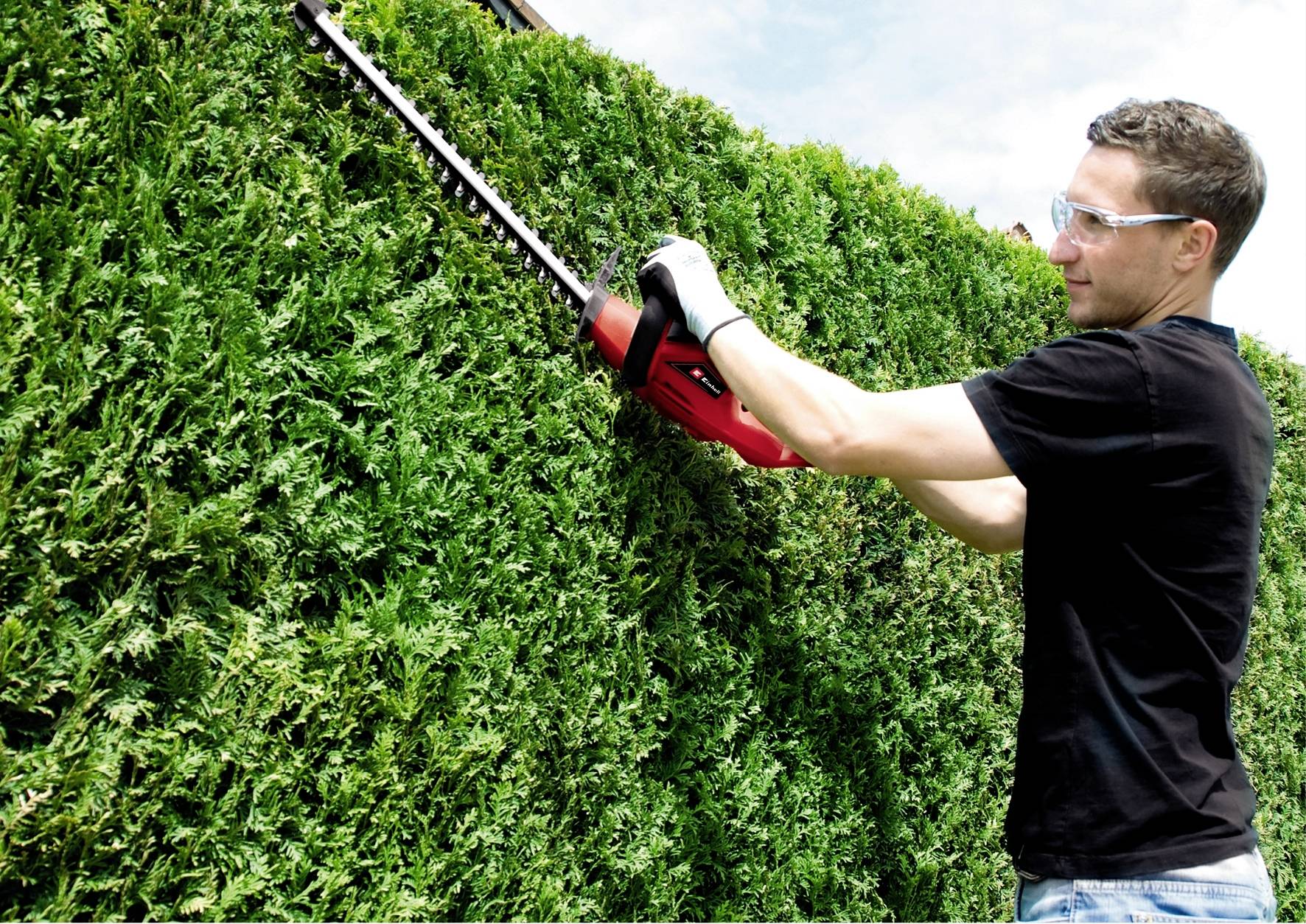 Mann schneidet mit elektrischer Heckenschere eine hohe grüne Hecke. Trägt Schutzbrille und Handschuhe für Sicherheit.
