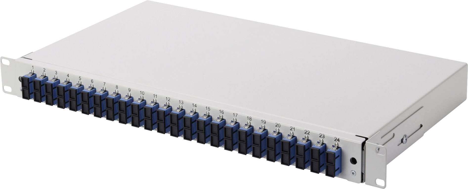 Ein graues Netzwerk-Rackgehäuse mit 24 blauen Anschlussbuchsen auf der Vorderseite, nummeriert von 1 bis 24.