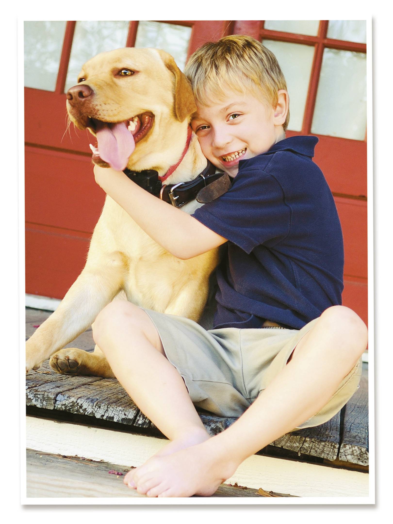 Avery-Zweckform Classic Photo Paper Inkjet C2743-50 Fotopapier 10 x 15cm 180 g/m² 50 Blatt Seidenmatt