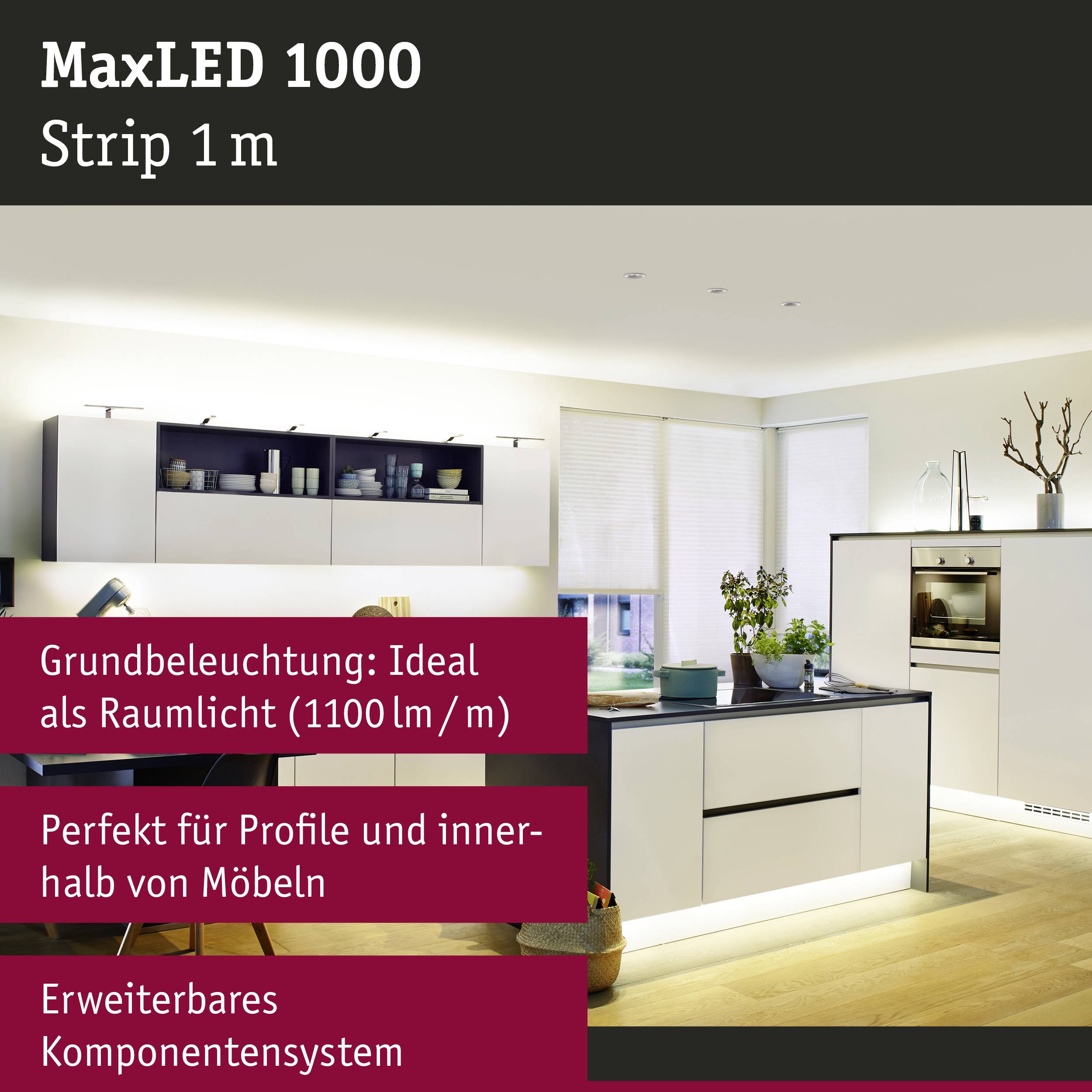 Paulmann MaxLED 1000 70568 LED-Streifen-Erweiterung mit Stecker 24V 1m Warmweiß 1St.
