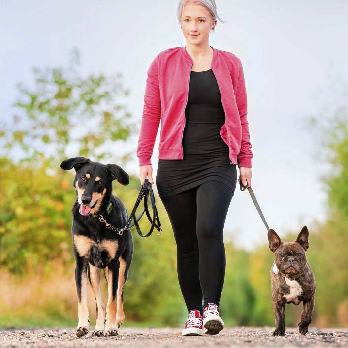 Tractive Classic GPS Tracker Haustiertracker Weiß