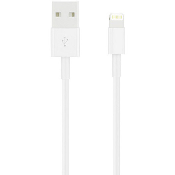 Apple iPad/iPhone/iPod Câble de raccordement [1x USB 2.0 type A mâle - 1x Dock mâle Lightning] 2.00 m blanc