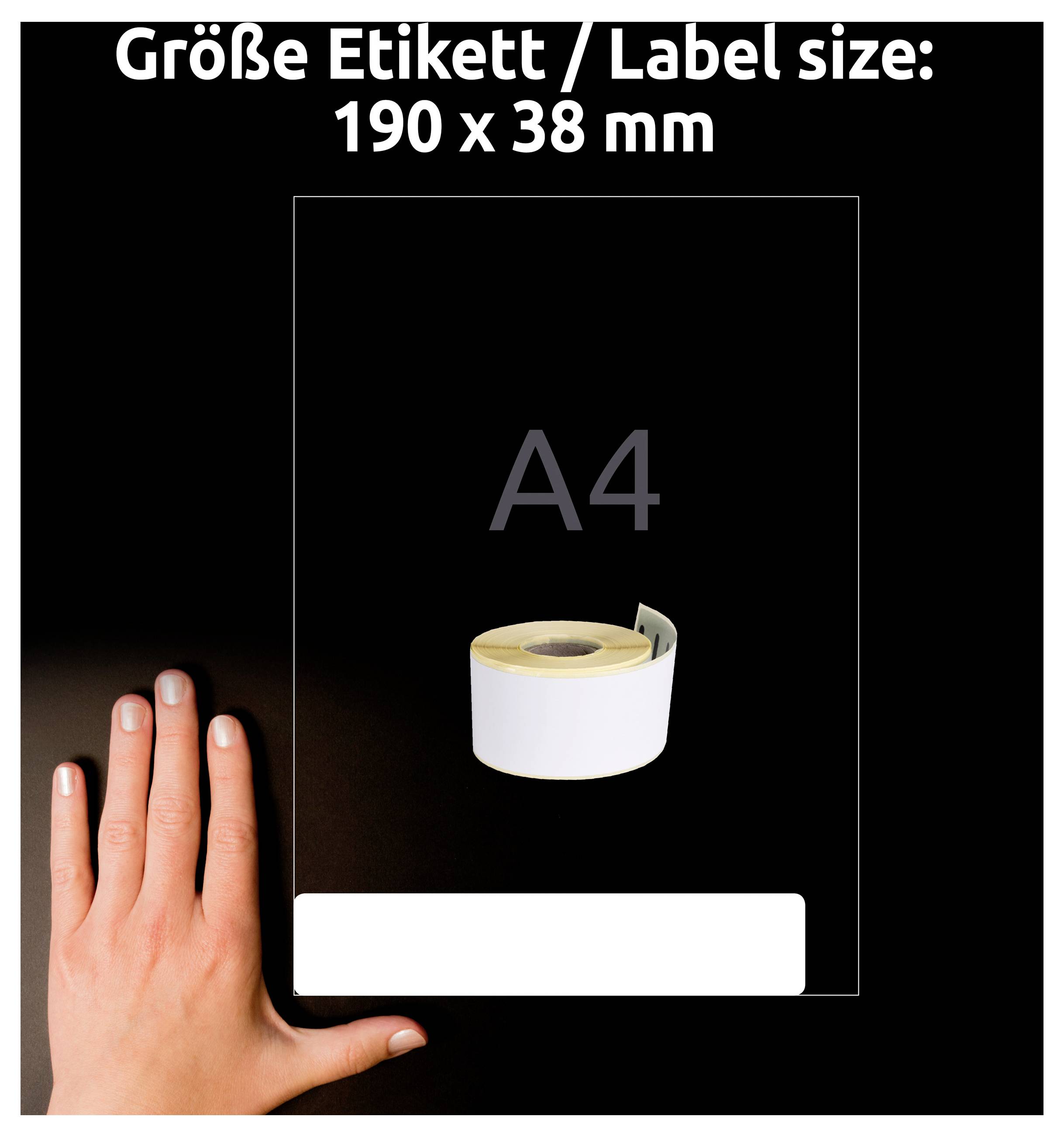 Produktbild: Etikettenrolle im A4-Format, Beschriftung 'Größe Etikett / Label size: 190 x 38 mm'; Hand als Größenvergleich.