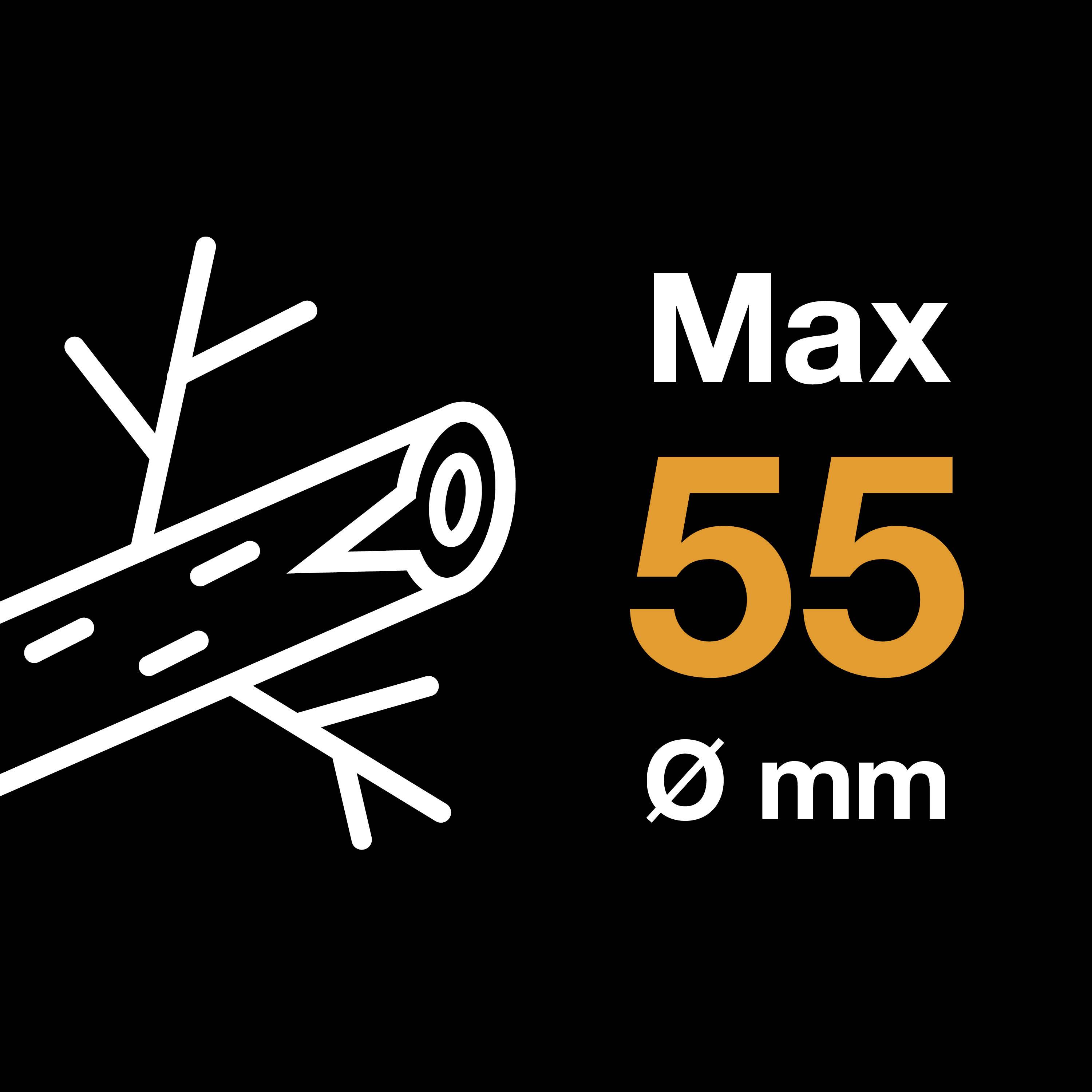 Illustration eines Baumstamms mit Zweigen und Text 'Max 55 Ø mm', was den maximalen Durchmesser von 55 mm angibt.