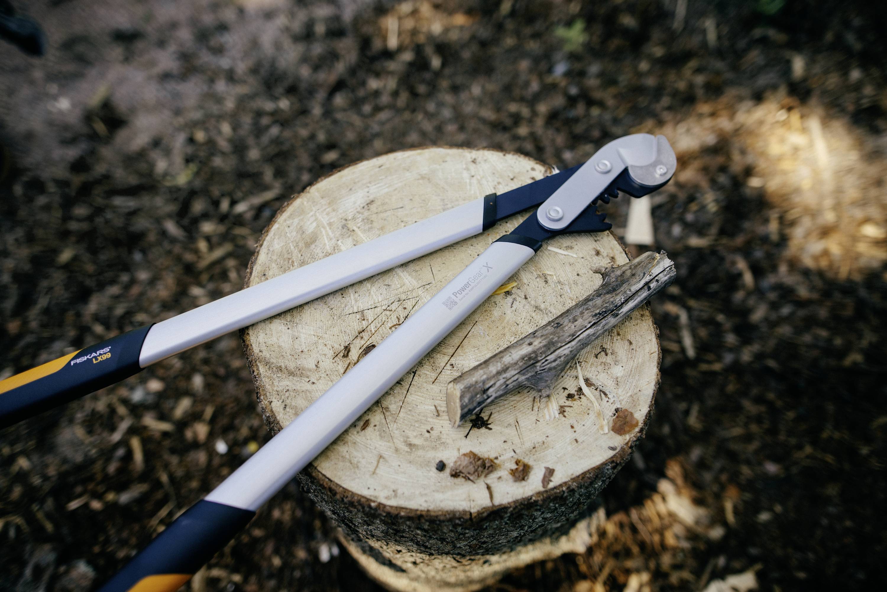 Ein Astschneider liegt auf einem Baumstumpf, auf dem auch ein kleiner Zweig liegt. Umgebung zeigt Holzspäne und Erde.
