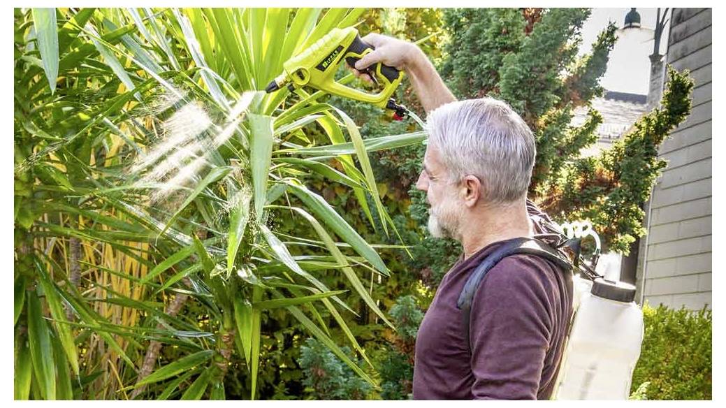 Eine Person mit grauem Bart sprüht Pflanzen mit einer tragbaren Gartenspritzflasche im Freien. Sonnenlicht hebt den Wassernebel hervor.