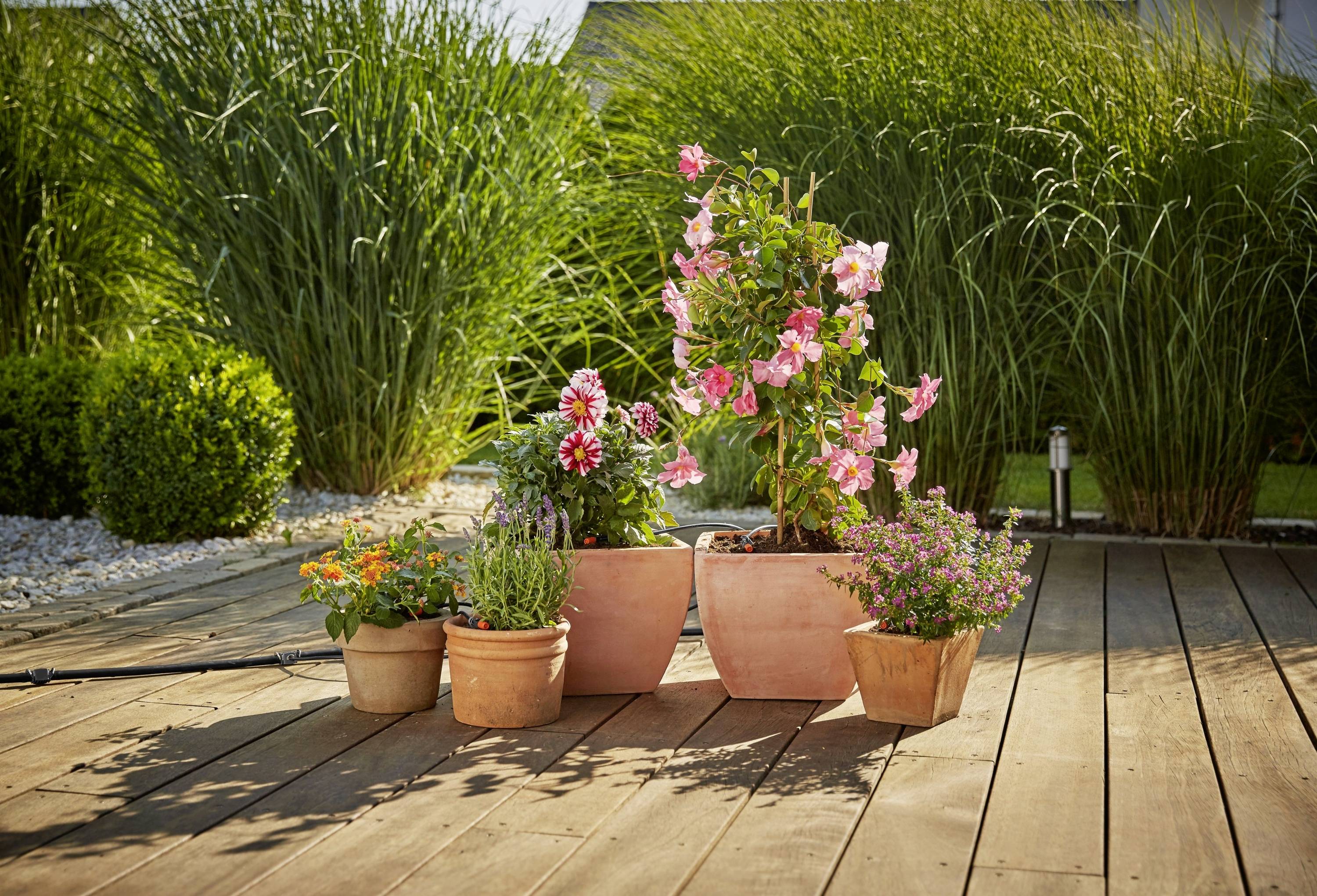 GARDENA Micro-Drip System Erweiterungsset Pflanztöpfe 13 mm (1/2") Ø Schlauchlänge: 5 m 13005-20