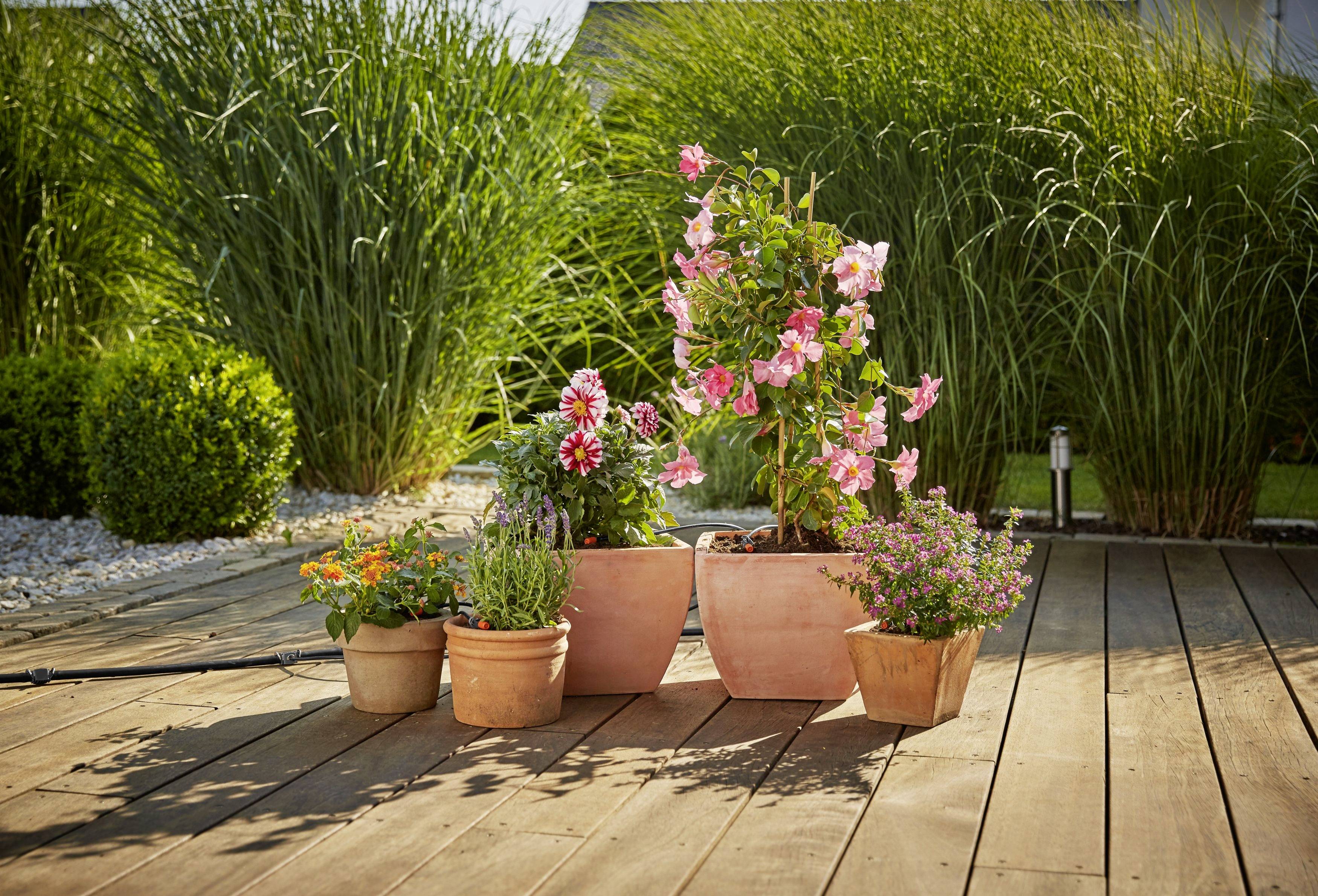 GARDENA Micro-Drip System Erweiterungsset Pflanztöpfe 13 mm (1/2") Ø Schlauchlänge: 5 m 13005-20