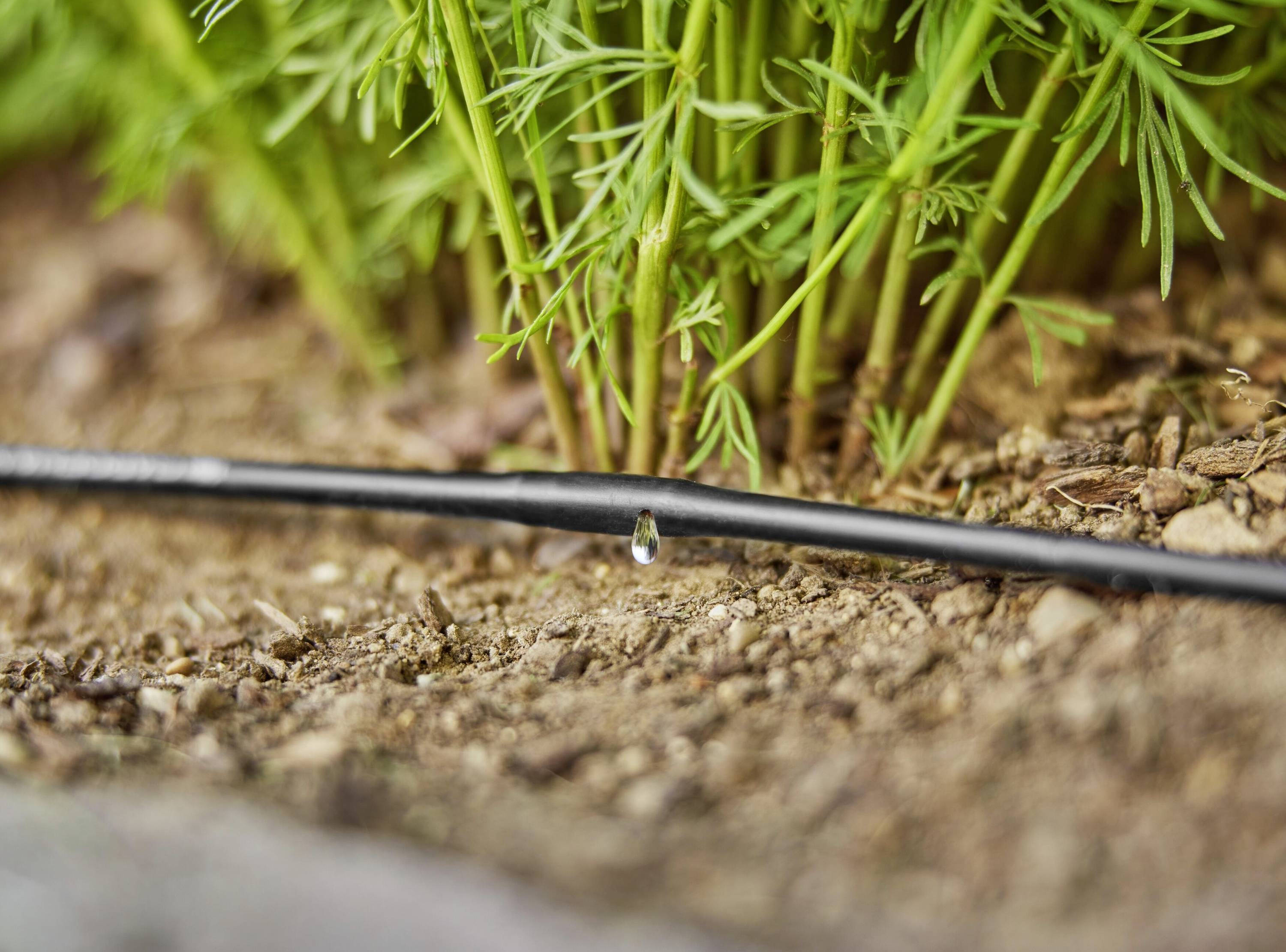 Gardena Micro-Drip System Start-Set Pflanzreihen S 4,6mm (3/16") Schlauchlänge: 15m 13010-20