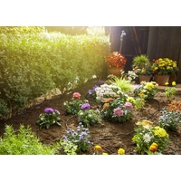 Gardena Micro-Drip System Start-Set Pflanzreihen S 4,6mm (3/16") Schlauchlänge: 15m 13010-20 Gardena Micro-Drip System Start-Set Pflanzreihen S 4,6mm (3/16") Schlauchlänge: 15m 13010-20