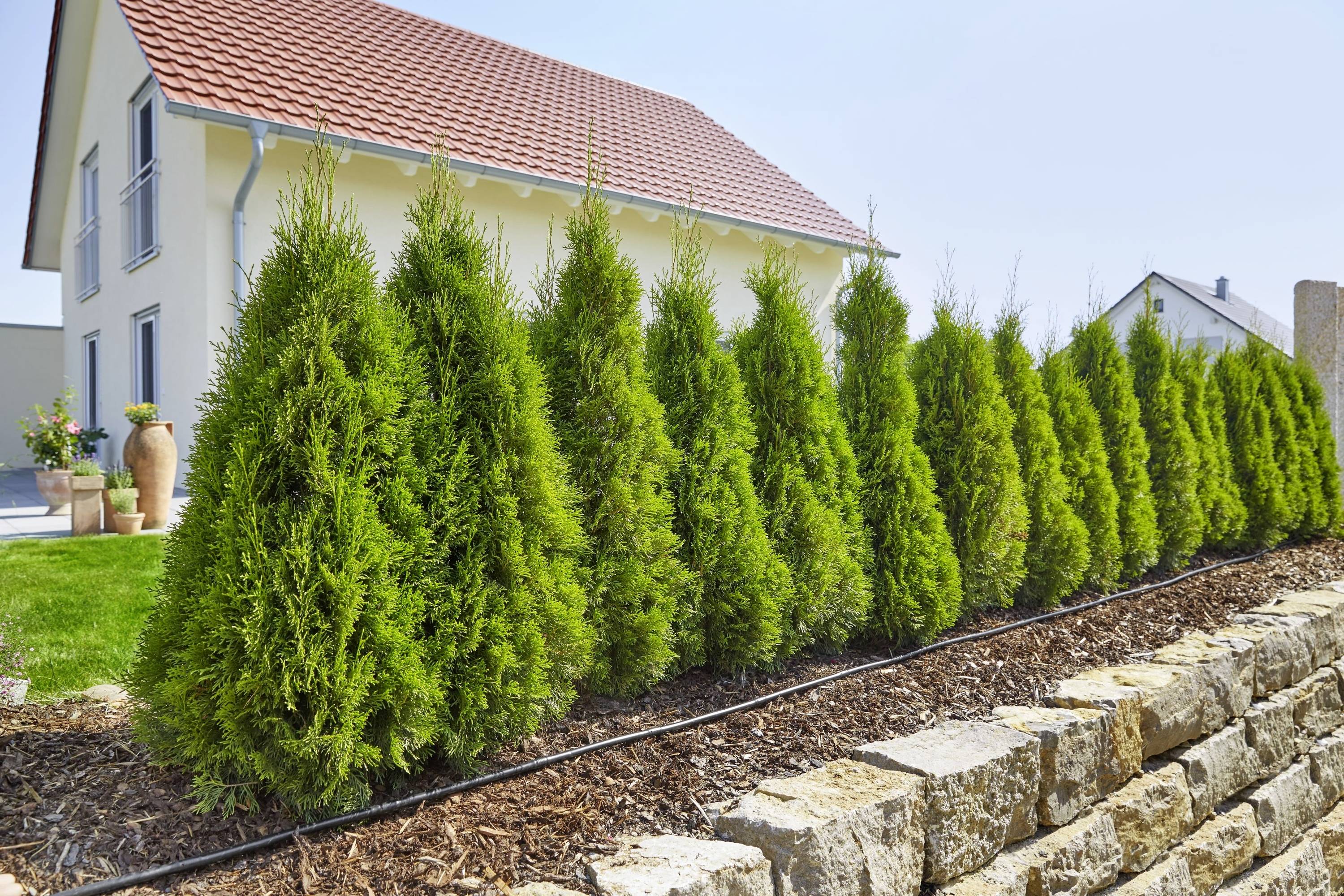 Gardena Micro-Drip System Start-Set Pflanzreihe L 13mm (1/2") Ø Schlauchlänge: 50m 13013-20