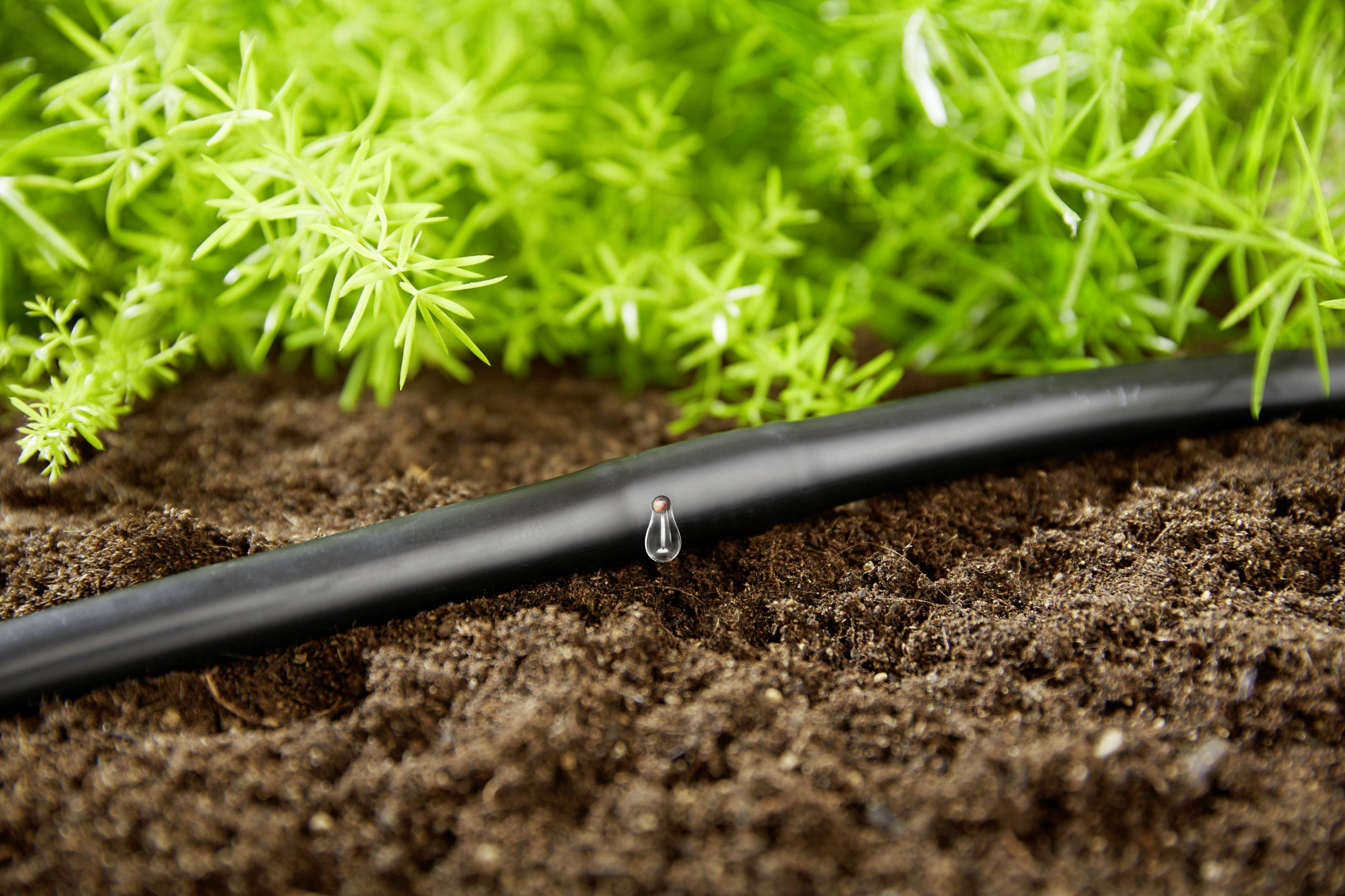 GARDENA Micro-Drip System 13013-20 Start-Set Pflanzreihe L 13 mm (1/2") Ø Schlauchlänge: 50 m