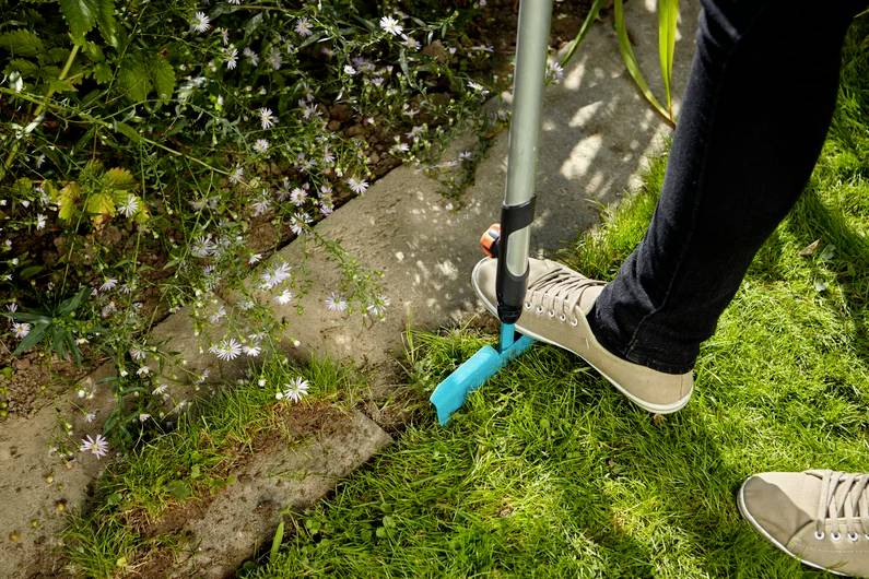 Eine Person, die ein Gartengerät verwendet, um Grassäume entlang eines Weges zu trimmen, der von kleinen weißen Blumen und Blattwerk gesäumt ist.