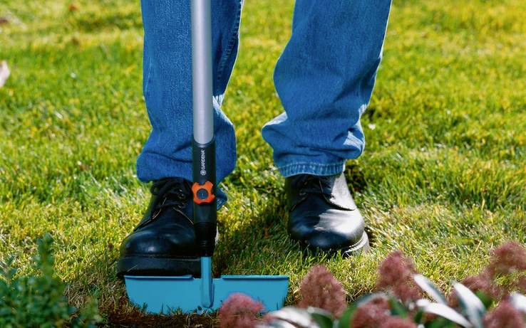 Eine Person in Jeans und Stiefeln benutzt ein blau umrandetes Gartengerät auf dem Rasen neben pinken Blumen, was auf Gartenarbeit oder Gartenpflege hindeutet.