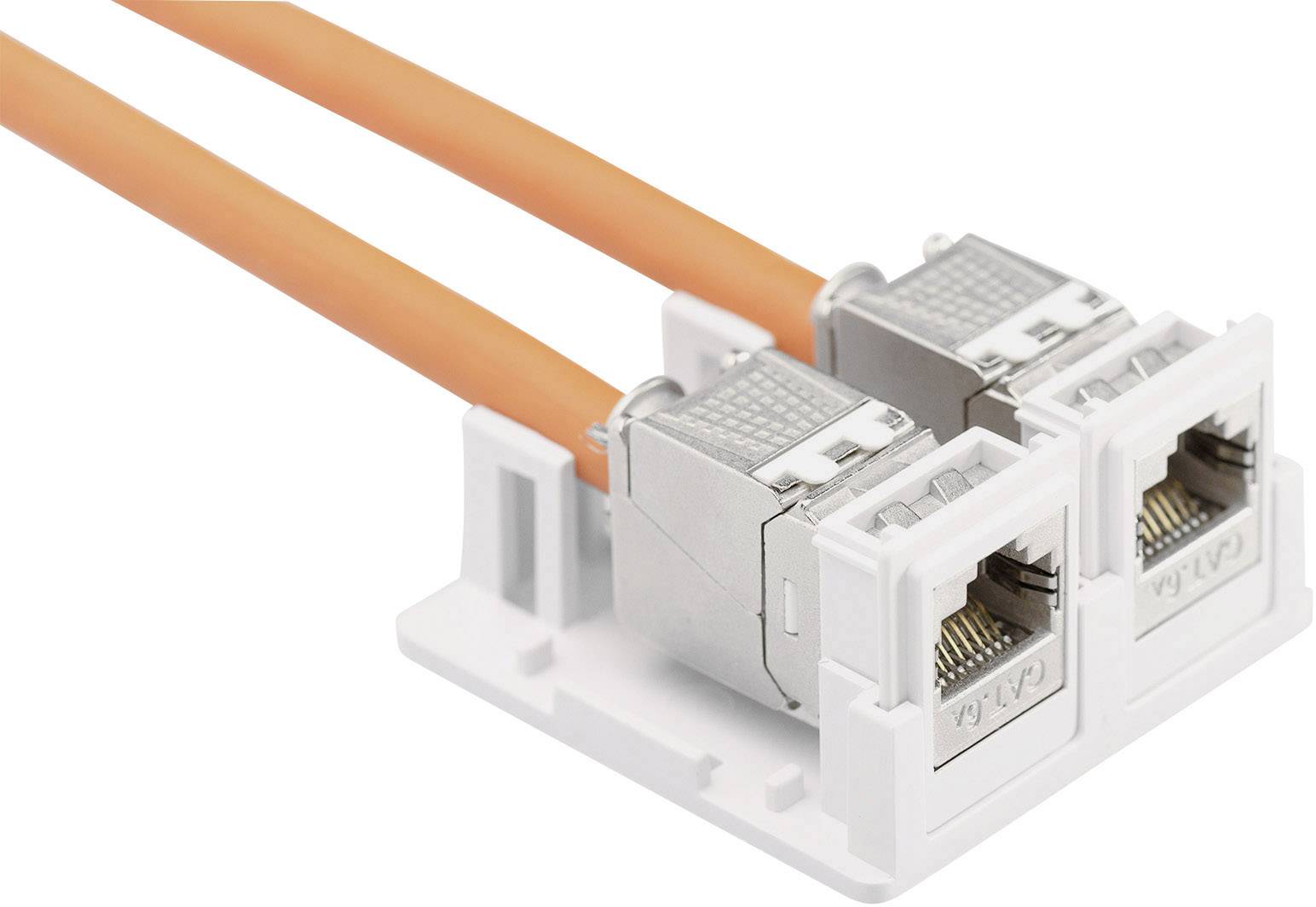 Digitus AT-AG 302A-WH 2 Port Consolidation Point Unbestückt