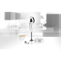 ESGE E 120 Stabmixer 120W Multifunktion Weiß ESGE E 120 Stabmixer 120W Multifunktion Weiß