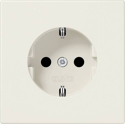 Jung Einsatz Schutzkontakt-Steckdose LS plus, LS design, LS 990 Weiß LS1520KI 1 St.