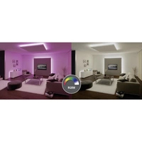 Paulmann MaxLED RGBW 70634 LED-Streifen-Erweiterung mit Stecker 24V 1m RGB, Warmweiß 1St. Paulmann MaxLED RGBW 70634 LED-Streifen-Erweiterung mit Stecker 24V 1m RGB, Warmweiß 1St.