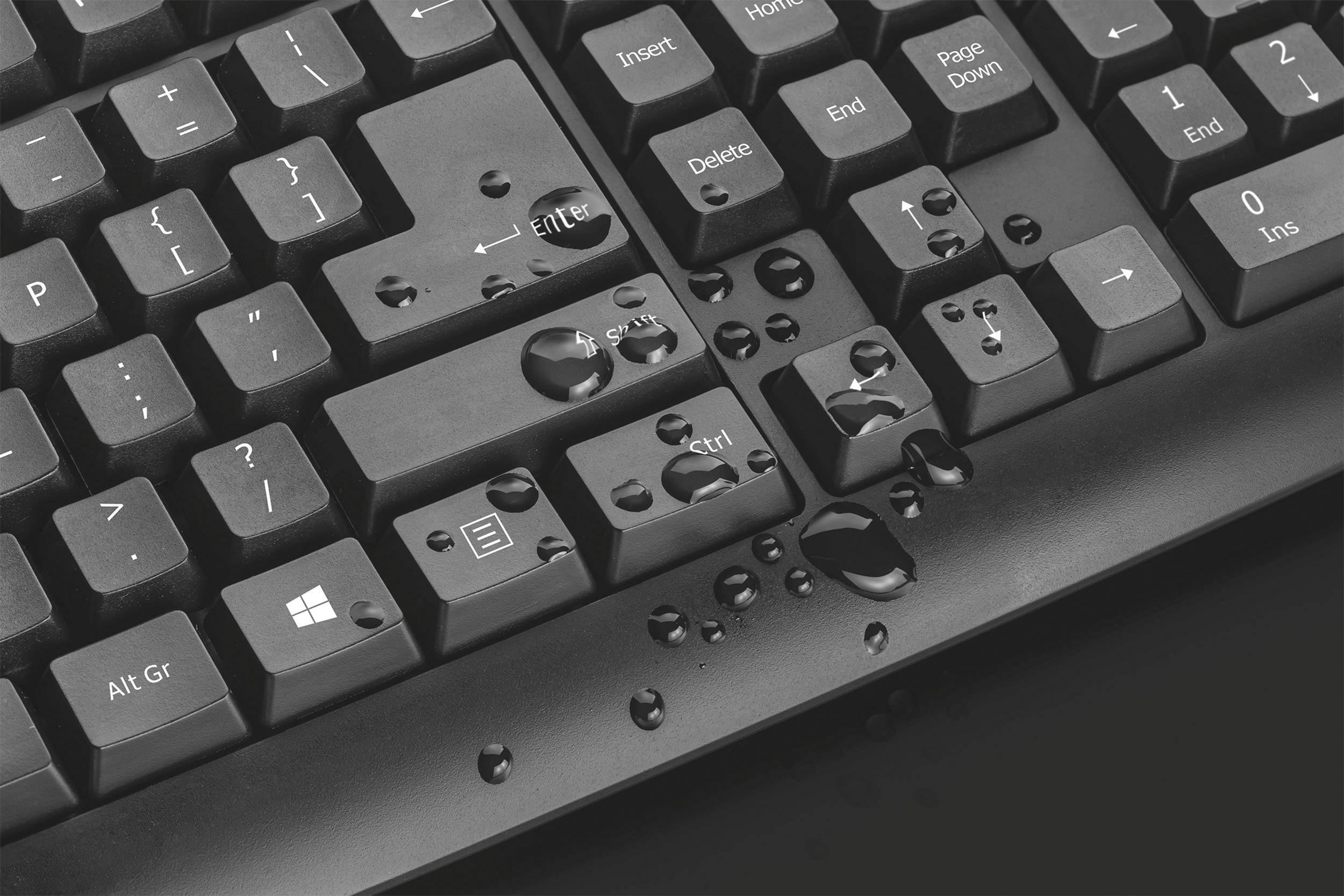 Trust ClassicLine USB Tastatur Deutsch, QWERTZ, Windows® Schwarz Spritzwassergeschützt