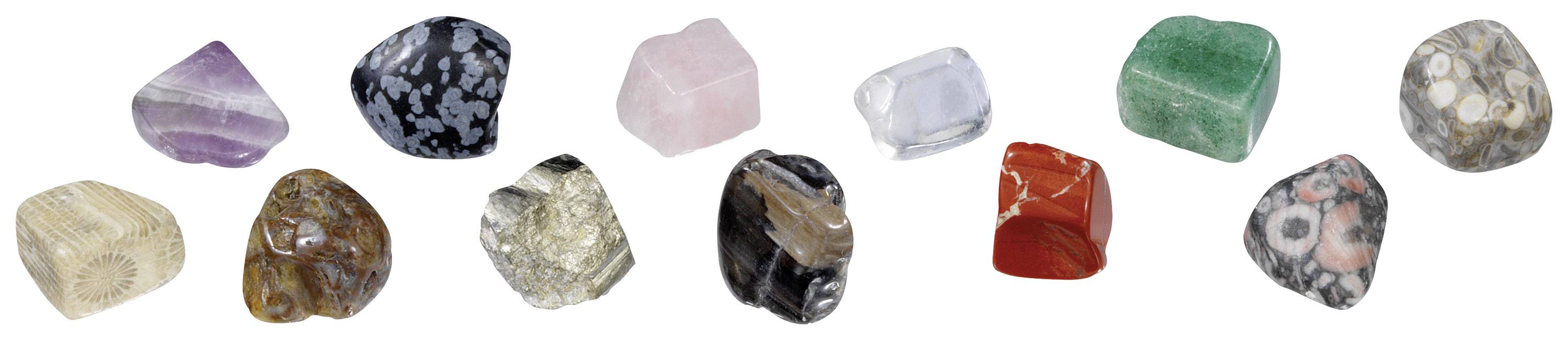 Kosmos 601607 Mineralien & Fossilien Triops & Dinosaurier Fossil ab 8 Jahre