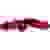 Knipex 16 95 01 SB ErgoStrip Kabelentmanteler Geeignet für Rundkabel, Feuchtraumkabel, Datenkabel, Koaxialkabel 4.8 bis 13mm 0.2