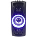 Reflexion PS07BT Karaoke-Anlage Inkl. Karaoke-Funktion, Inkl. Mikrofon, Stimmungslicht, wiederaufladbar