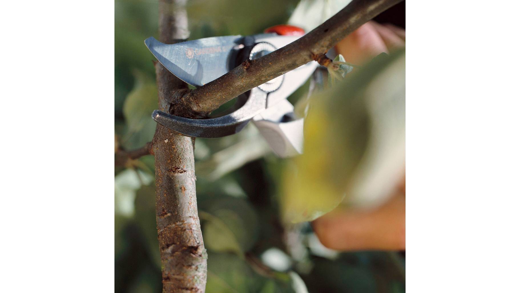 GARDENA Gartenschere 8702-20, A028 | voelkner - direkt ...