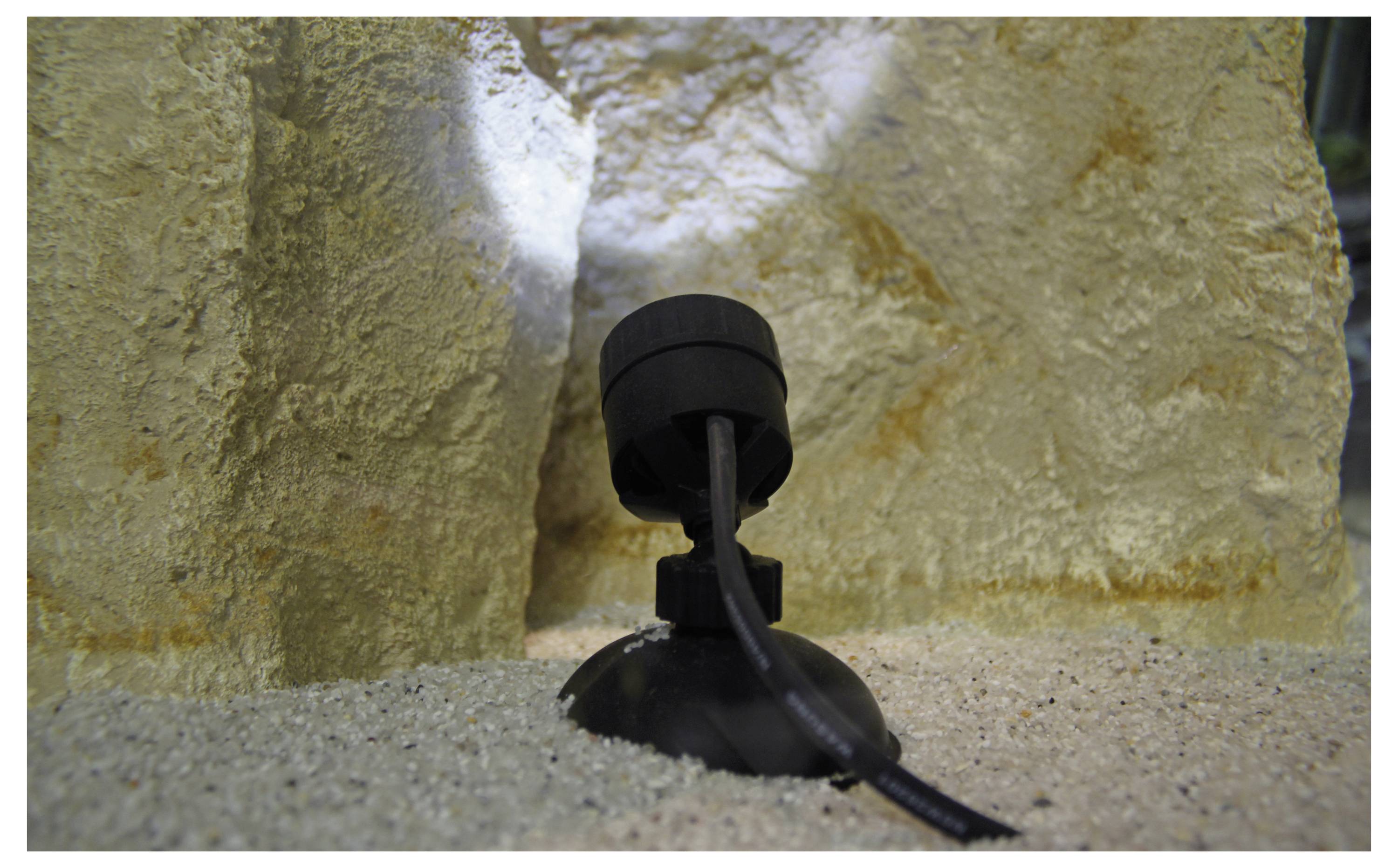 Eine schwarze Saughaftscheibe hält ein Kabel an einer felsigen, strukturierten Oberfläche, mit sandartigen Körnern an der Basis, möglicherweise eine gesicherte Kabelinstallation darstellend.