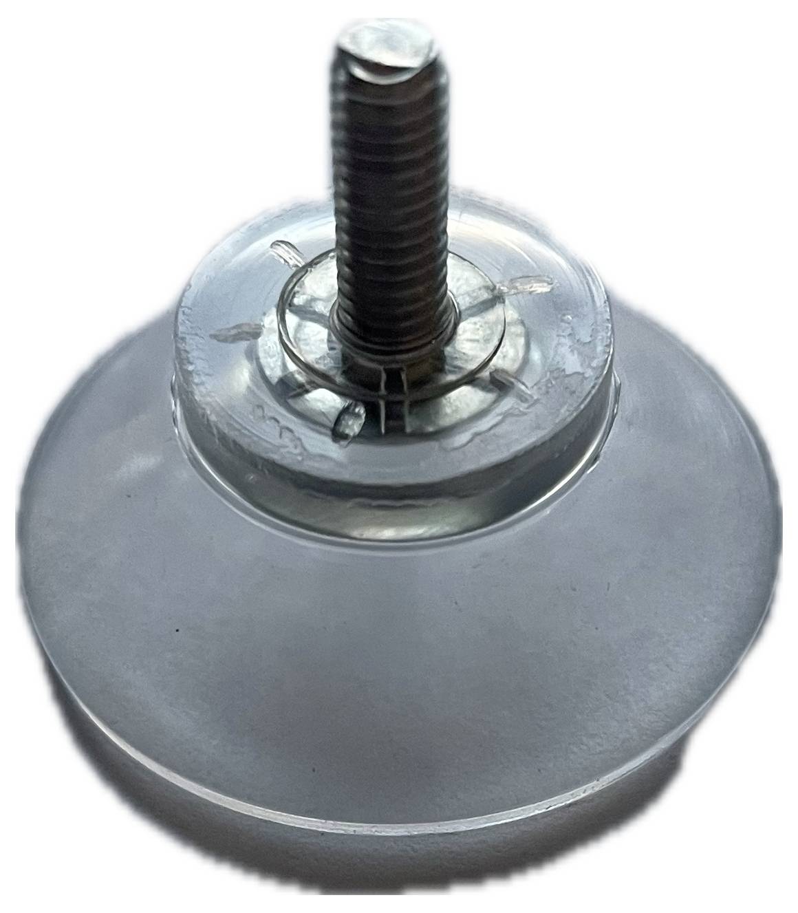 Kash Saugnapf 1.1.3010 Klar, Transparent