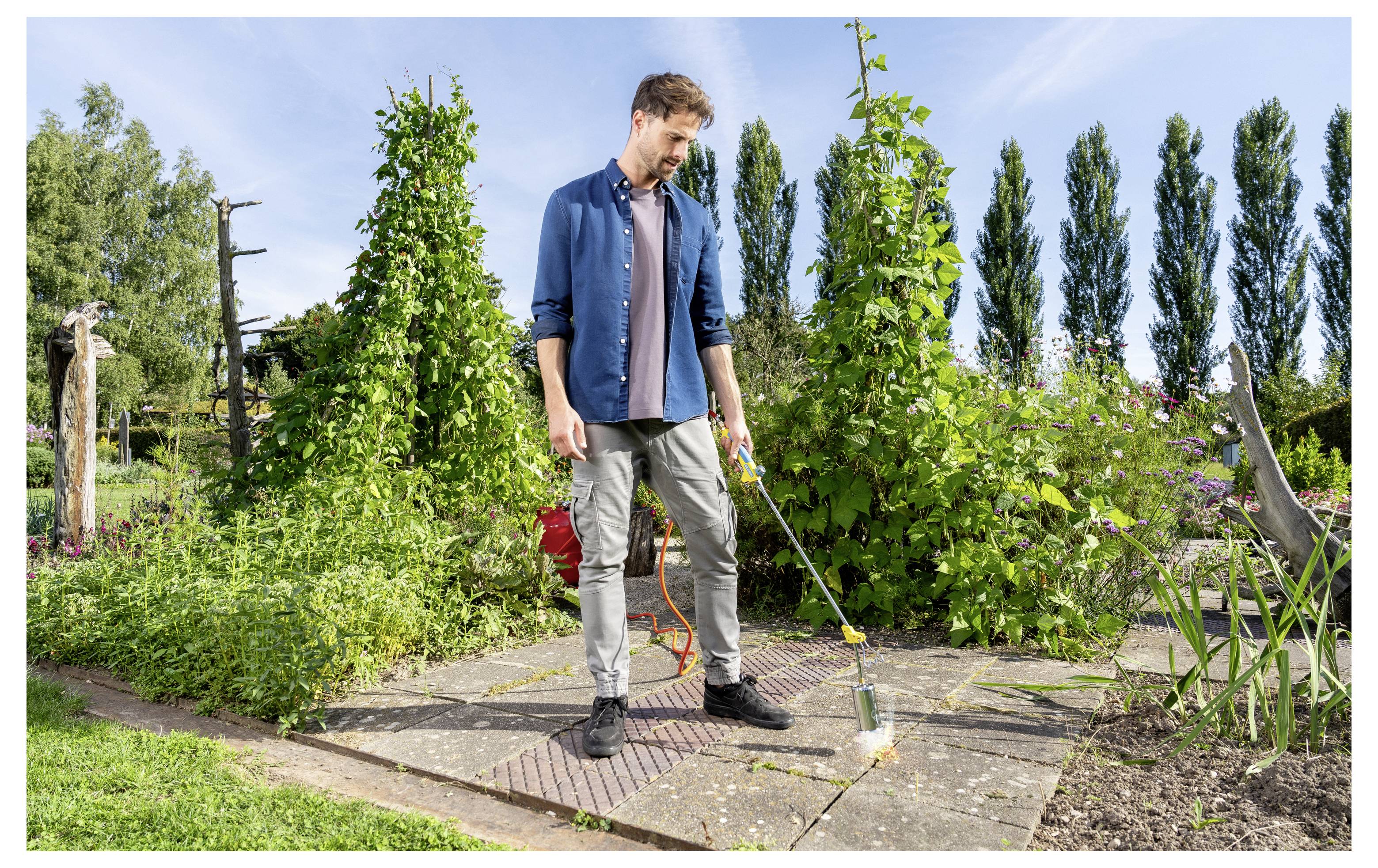 Ein Mann benutzt ein Werkzeug mit langem Griff, um einen Gartenweg zwischen hohen grünen Pflanzen an einem sonnigen Tag zu jäten oder zu reinigen.
