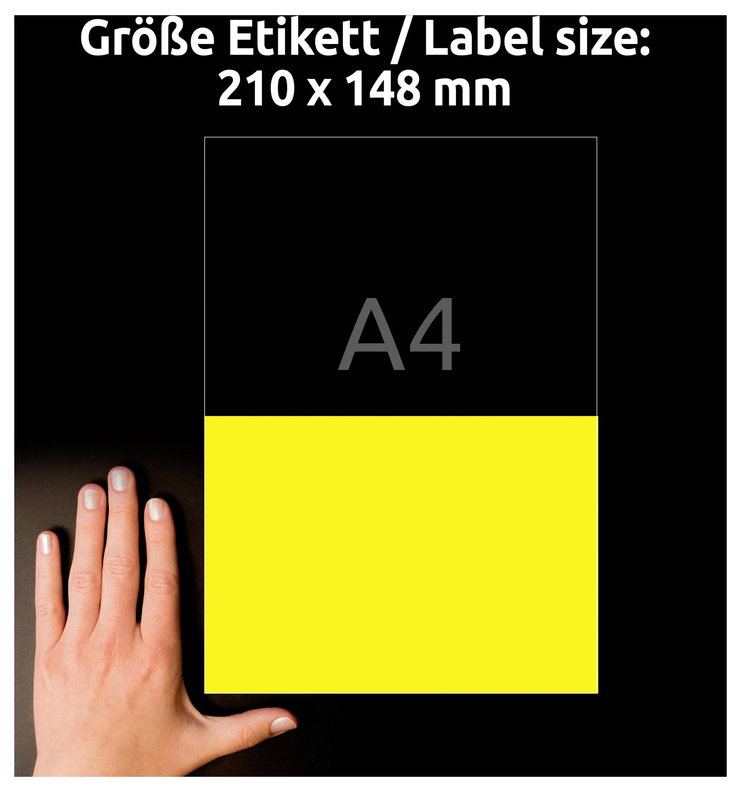 Vergleichsbild für Etikettengröße: 'Größe Etikett / Label size: 210 x 148 mm'; A4-Fläche mit gelbem unteren Bereich, daneben Hand als Maßstab.