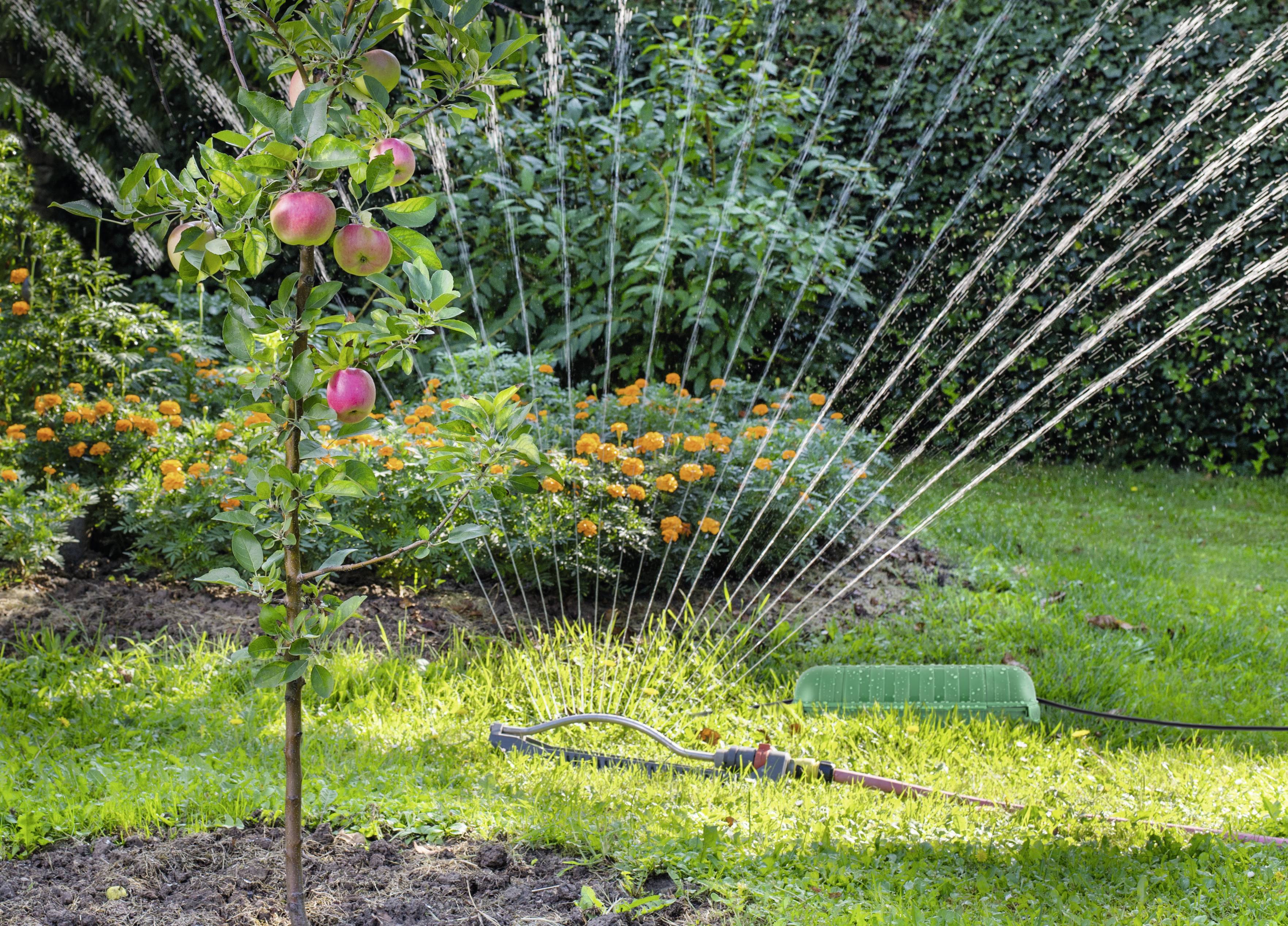 Heitronic 21045 Steckerbox Grün