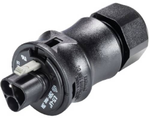 Wieland Electric 99.448.6046.6 Steckerteil RST® CLASSIC Serie 230 V 3polig