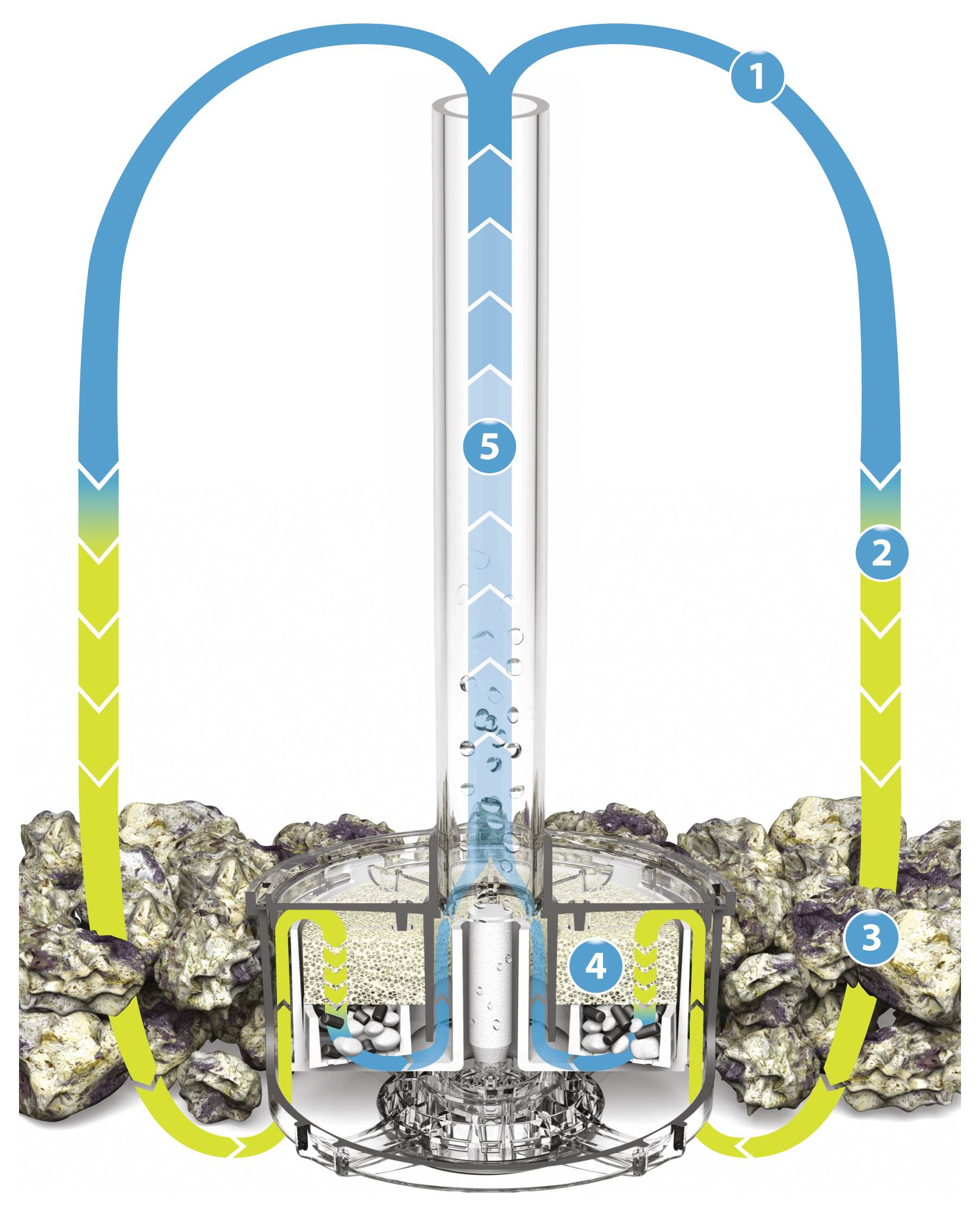 Diagramm eines Geothermiekraftwerks: Erhitztes Wasser aus der Erdkruste steigt auf, Turbinen erzeugen Strom, abgekühltes Wasser kehrt unterirdisch zurück.
