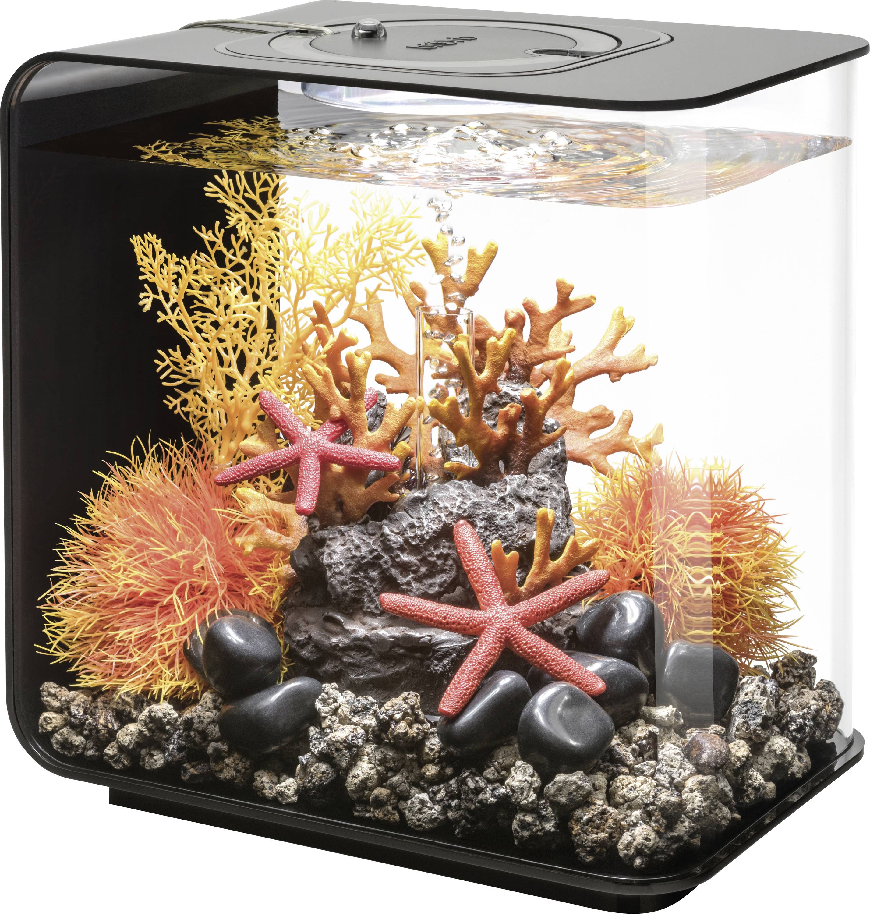 Ein kleines, dekoratives Aquarium mit buntem Korallen, leuchtend orangefarbenen und gelben Seepflanzen, Seesternen, schwarzen Steinen und sprudelndem Wasser.