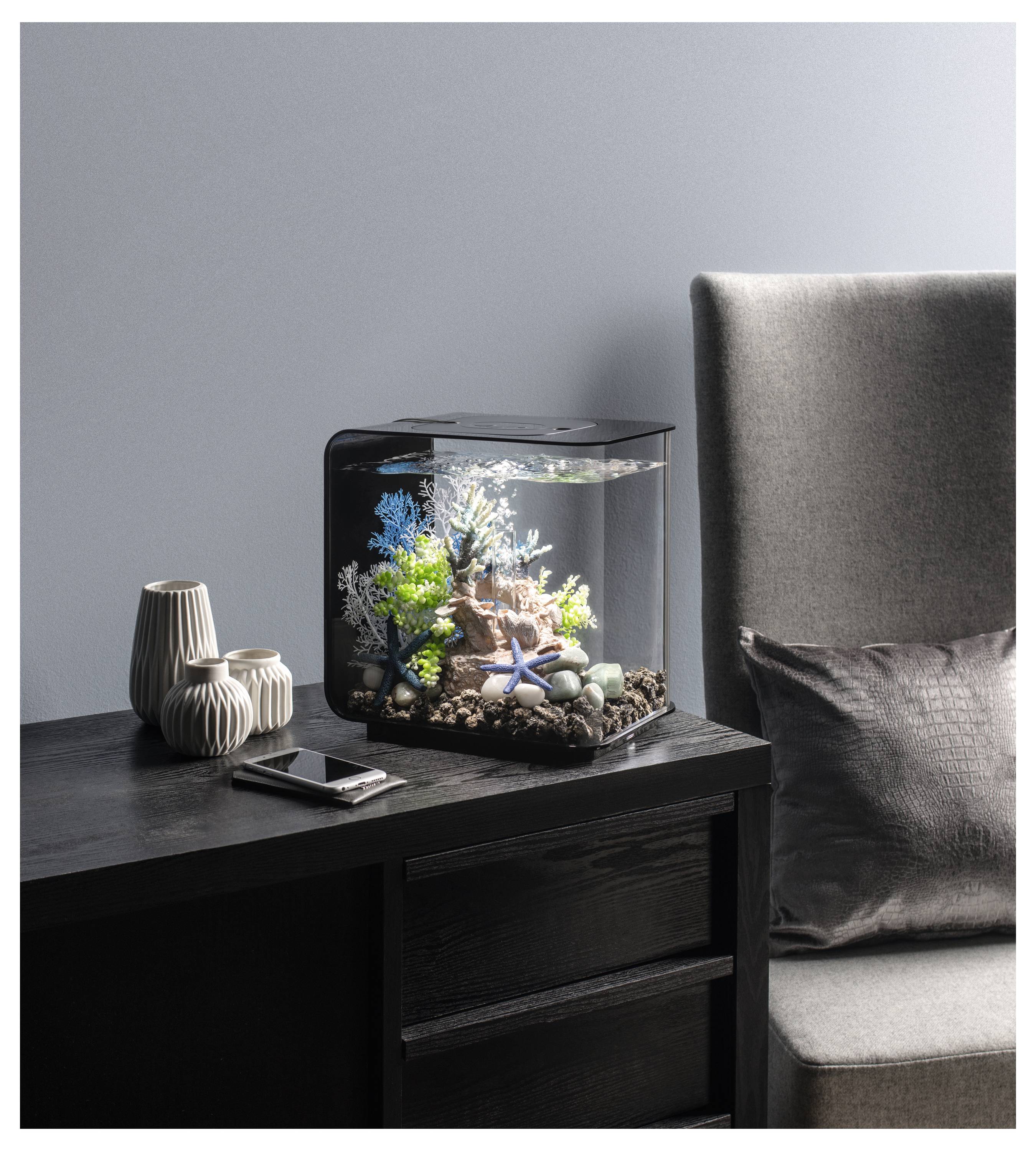 Ein kleines Aquarium mit bunten Pflanzen und einem Seestern steht auf einem dunklen Holzschreibtisch neben dekorativen Vasen und einem Smartphone.