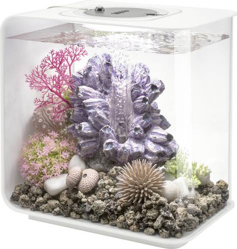 Oase 72030 biOrb FLOW 15 LED weiß Aquarium 15 l mit LED-Beleuchtung