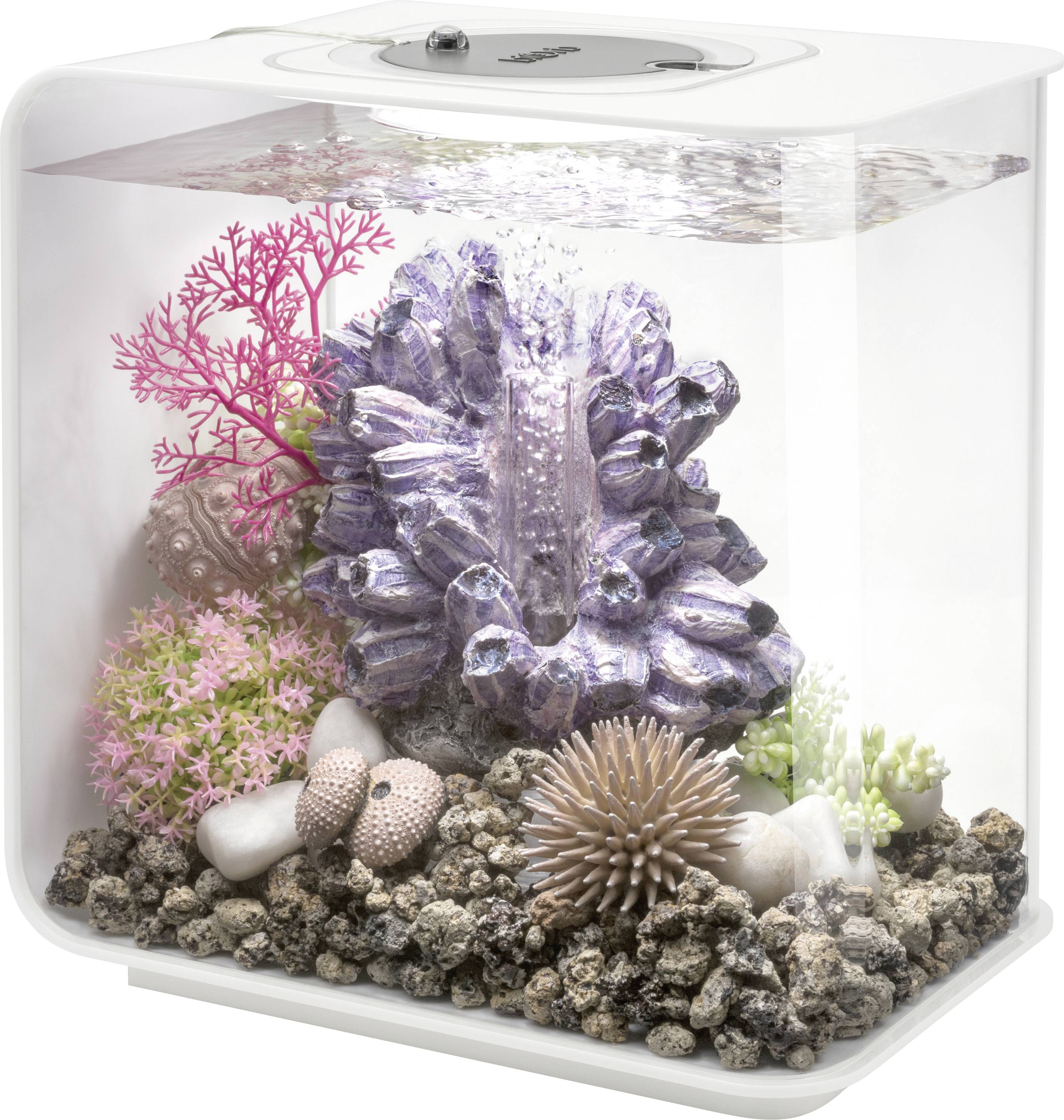 Ein rechteckiges Aquarium mit bunten Korallen, Steinen und Meeres-Dekorationen im Inneren; mit Wasser bis zum Rand gefüllt.