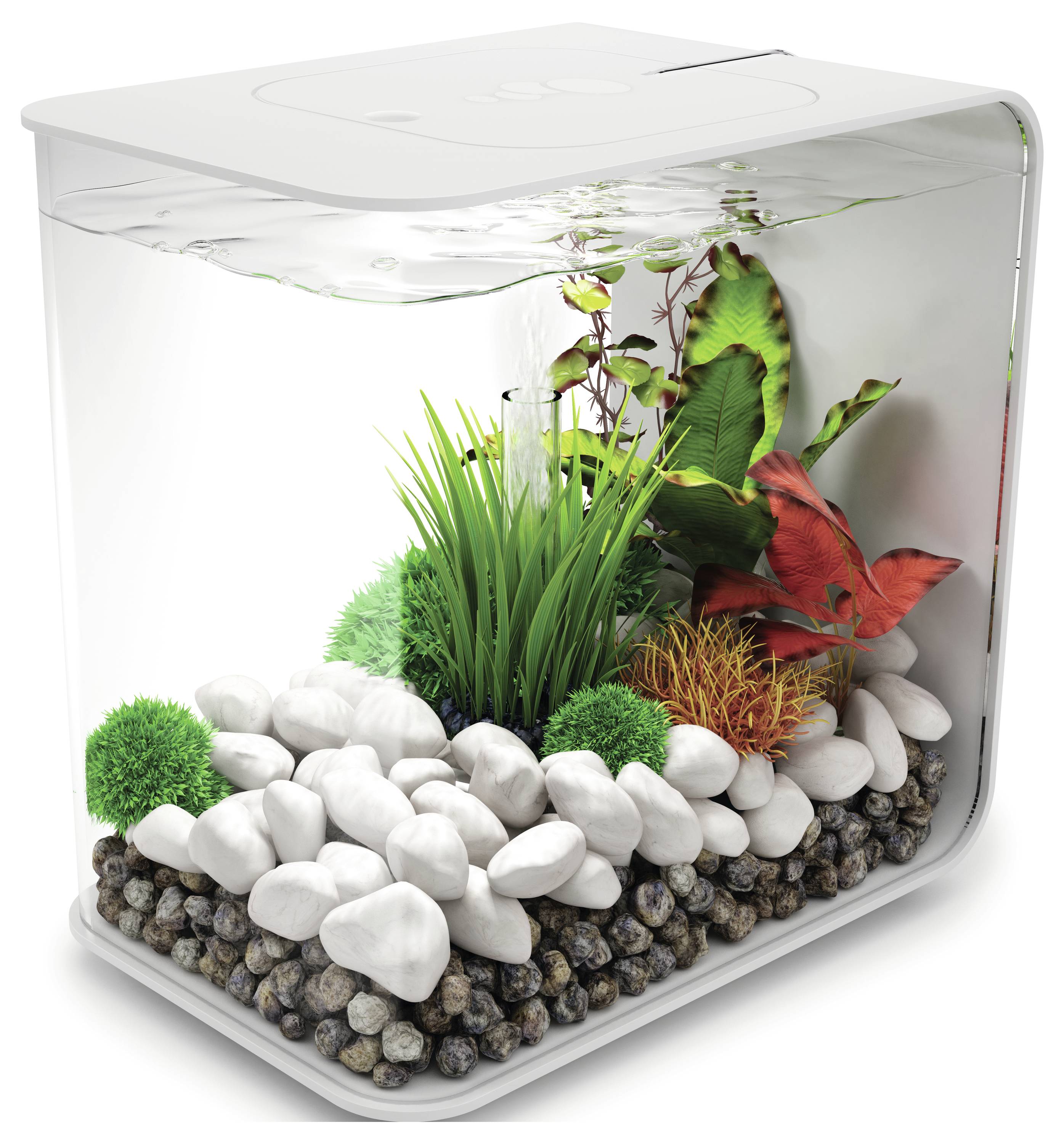 Ein transparentes Aquarium mit weißen Steinen, grünen Pflanzen und einigen rötlichen Blättern, bis zum Rand mit Wasser gefüllt, das ein minimalistisches Design präsentiert.