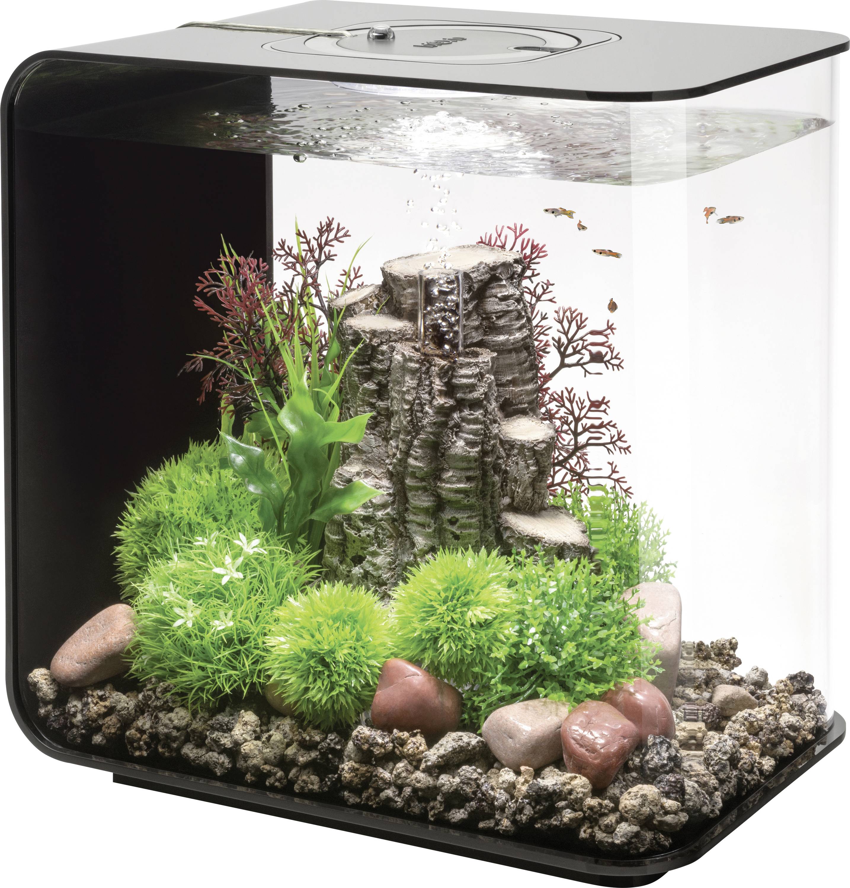 Ein kleines Aquarium mit bunten Pflanzen, Steinen und einer zentralen Dekorationsstruktur, die einen Wasserfall nachahmt; mehrere kleine Fische schwimmen in der Nähe.