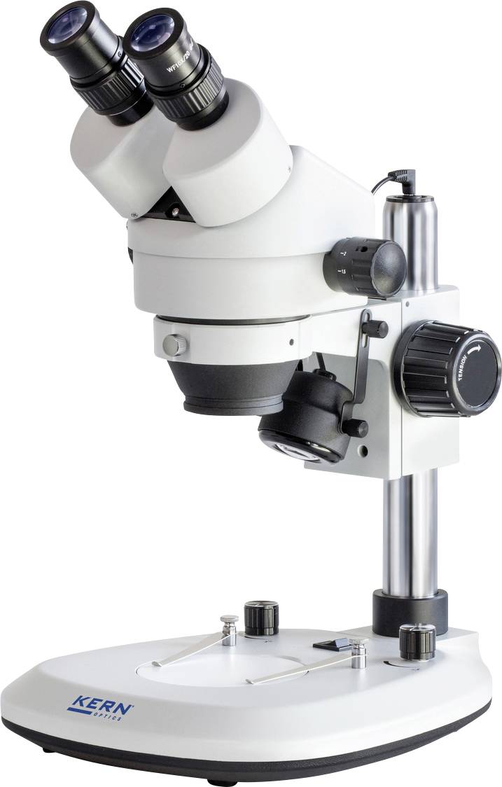 Ein weißes Labormikroskop mit zwei Okularen und mehreren Einstellrädern steht auf einem stabilen Sockel.