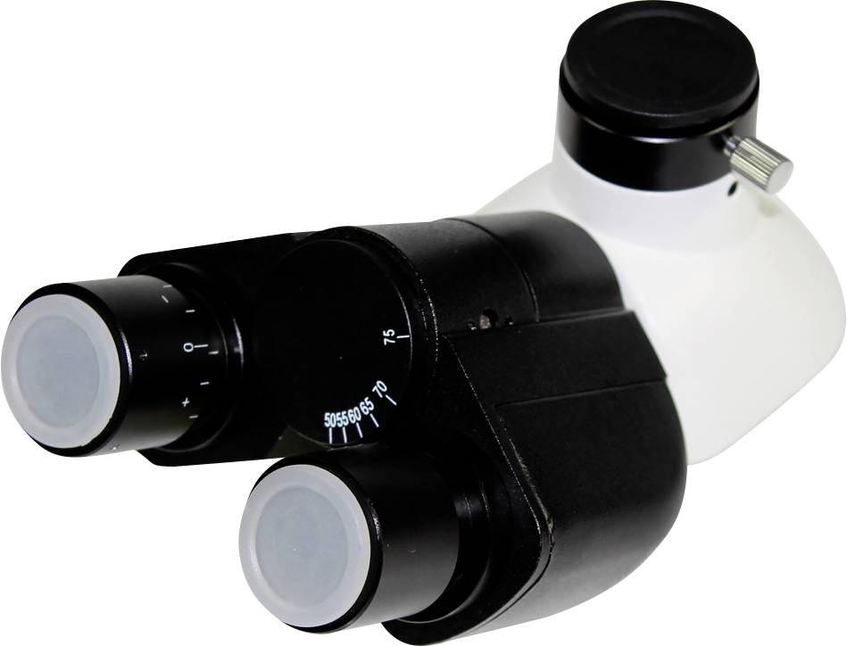 Kern OBB-A OBB-A1341 Mikroskop-Kopf Passend für Marke (Mikroskope) Kern