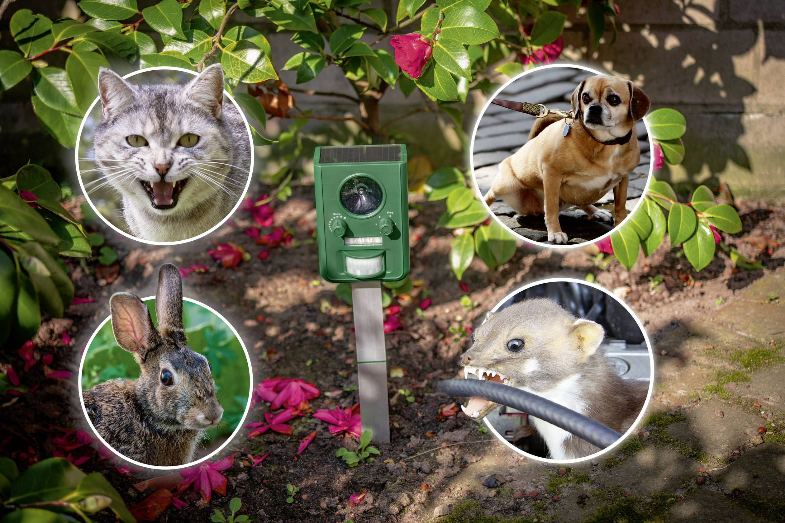 Gardigo Solar Tiervertreiber Funktionsart Multifrequenz, LED-Licht Wirkungsbereich 100 m² 1 St.