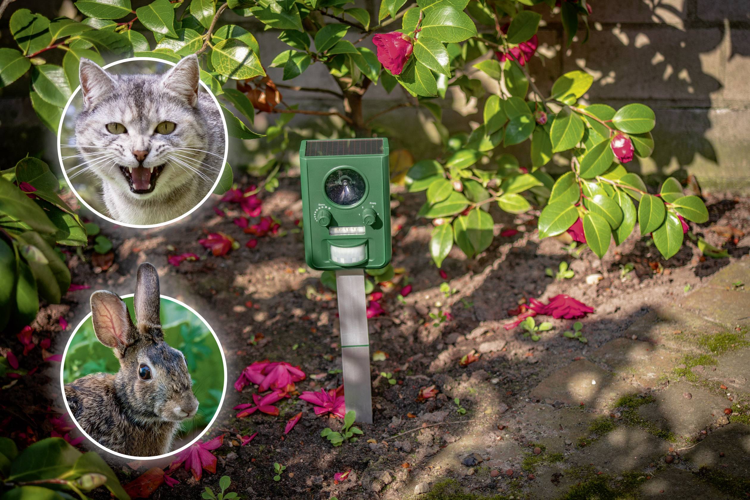 Gardigo Solar Tiervertreiber Funktionsart Multifrequenz, LED-Licht Wirkungsbereich 100 m² 1 St.